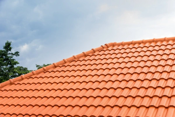 Roof Repair Services